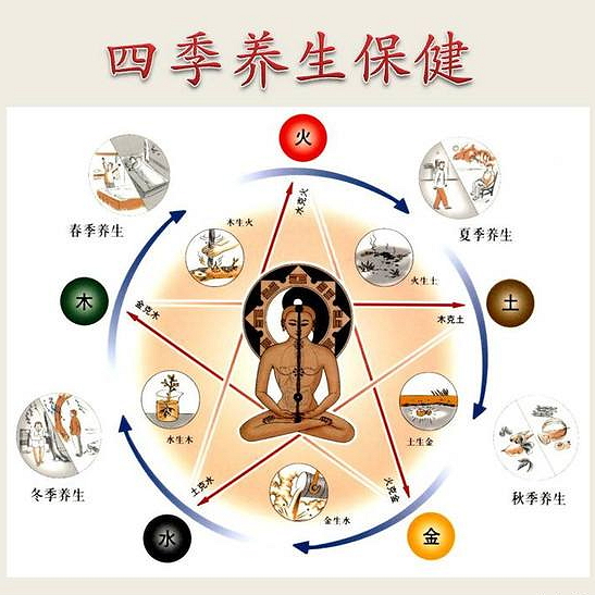 四季飲食調理養(yǎng)生